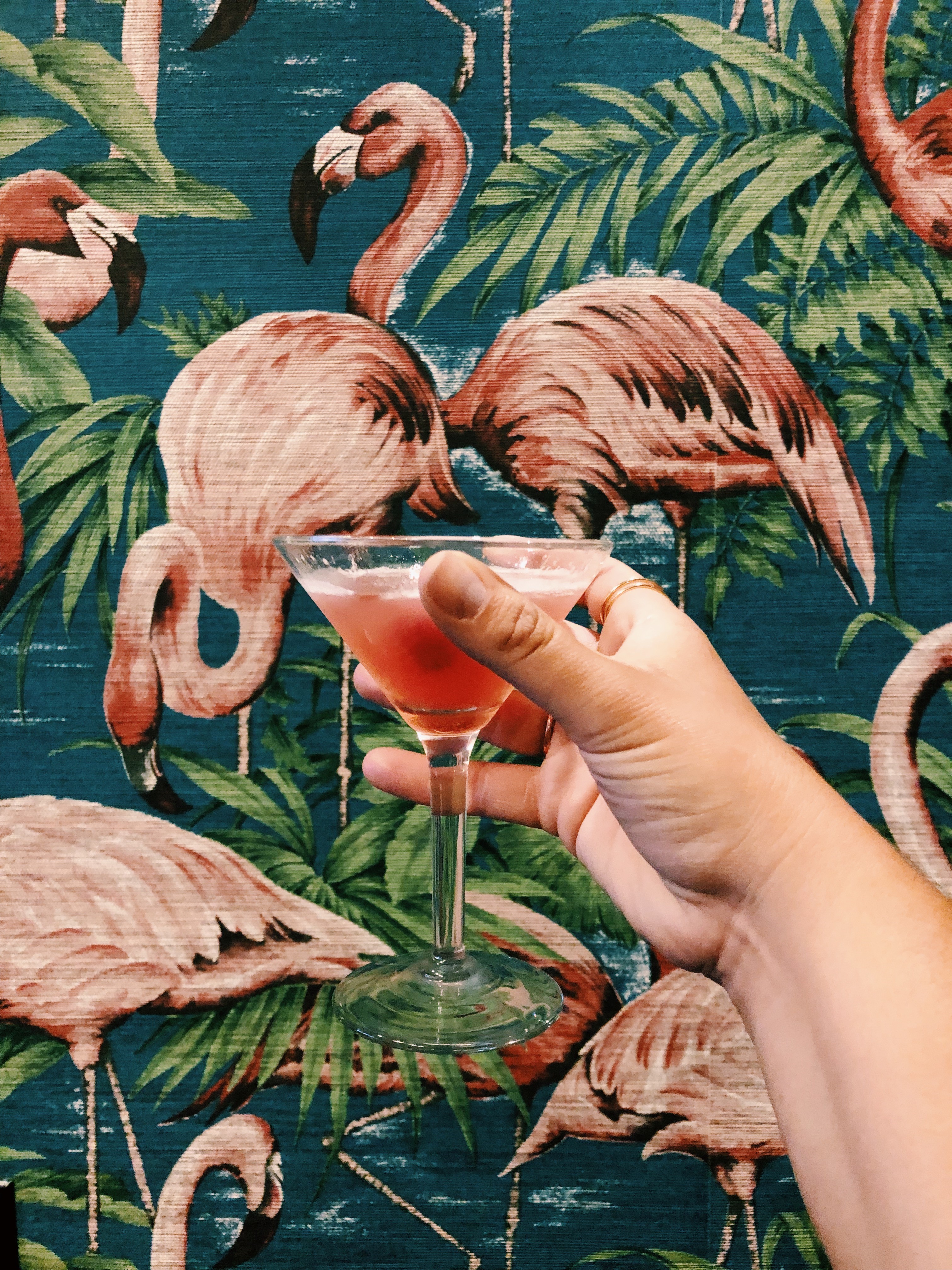 flamingo