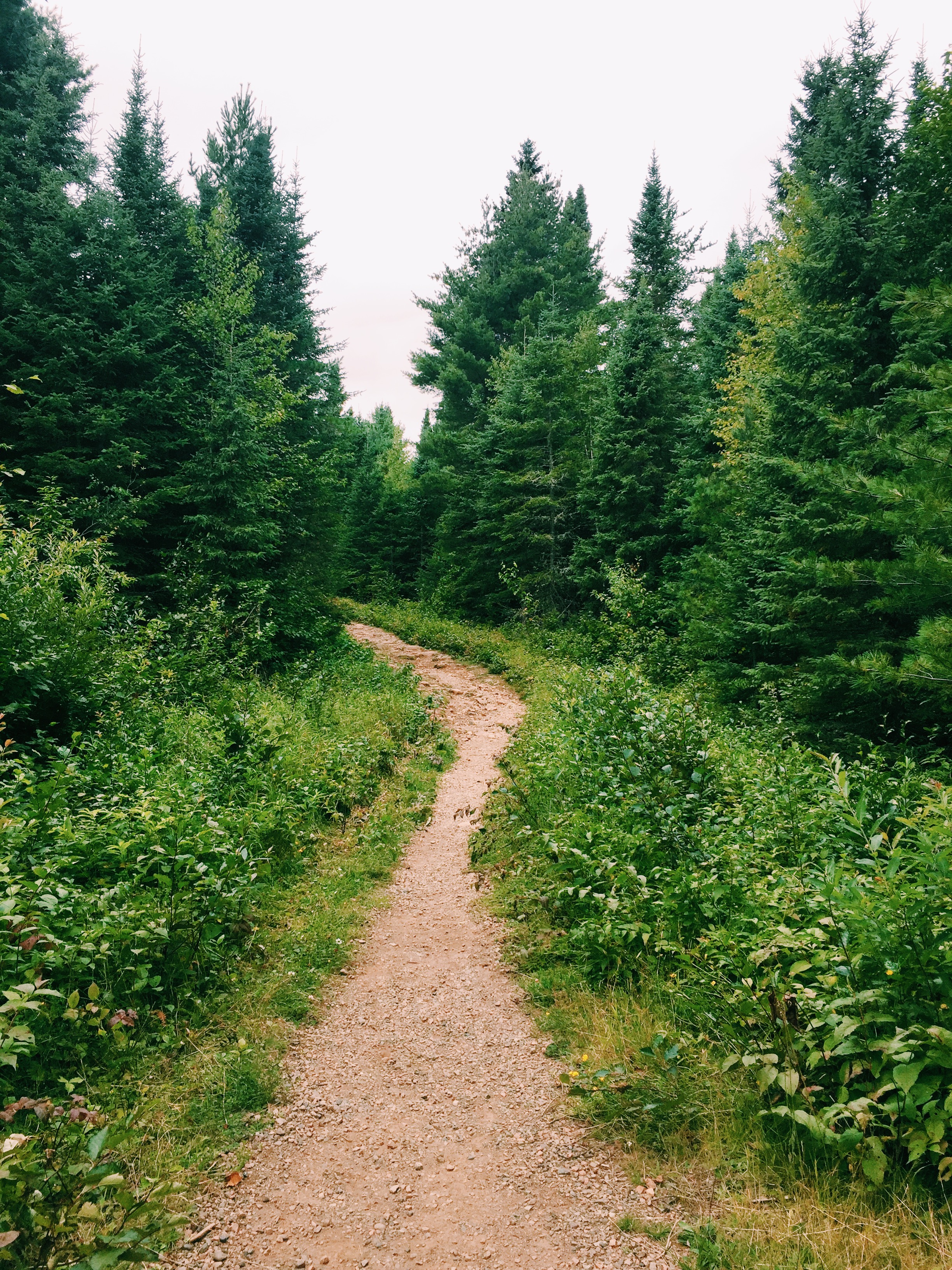 Processed with VSCO with c1 preset