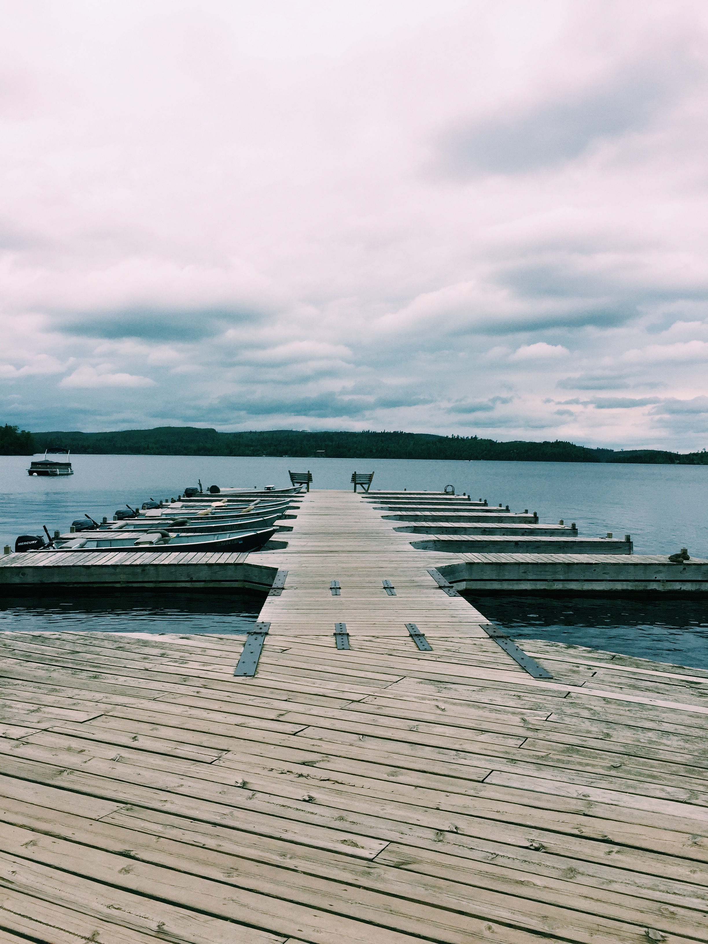 Processed with VSCO with c1 preset