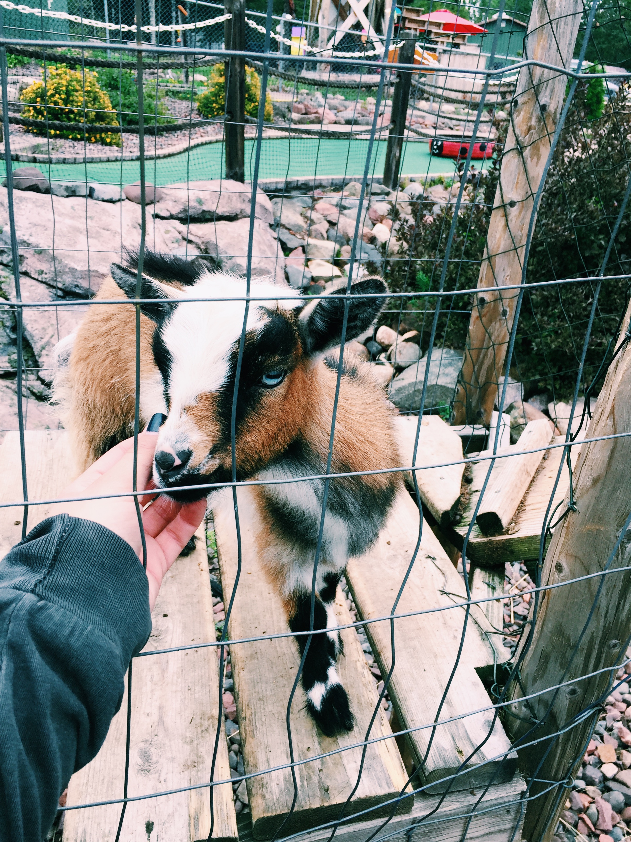 Processed with VSCO with c1 preset