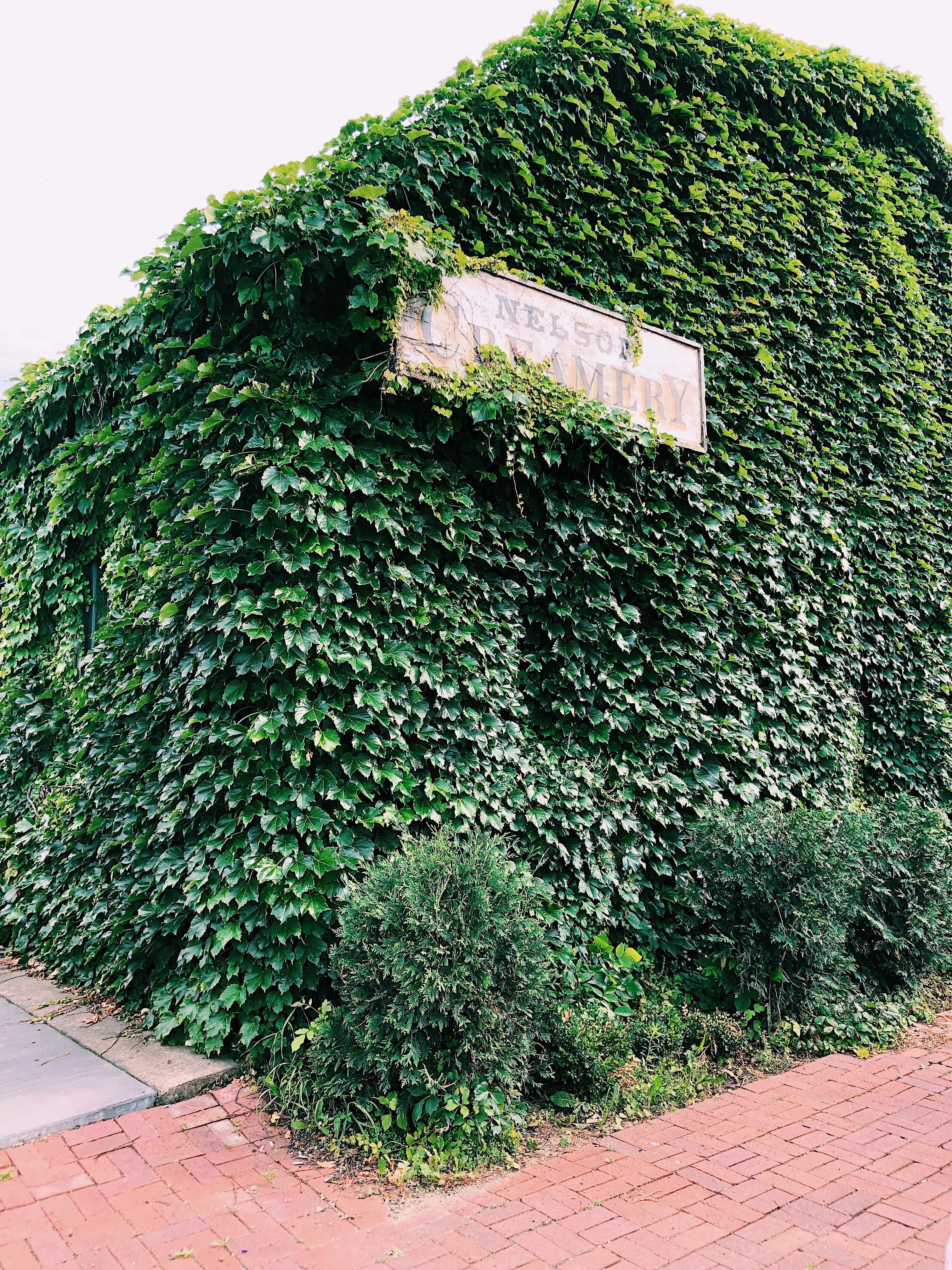 Processed with VSCO with c1 preset