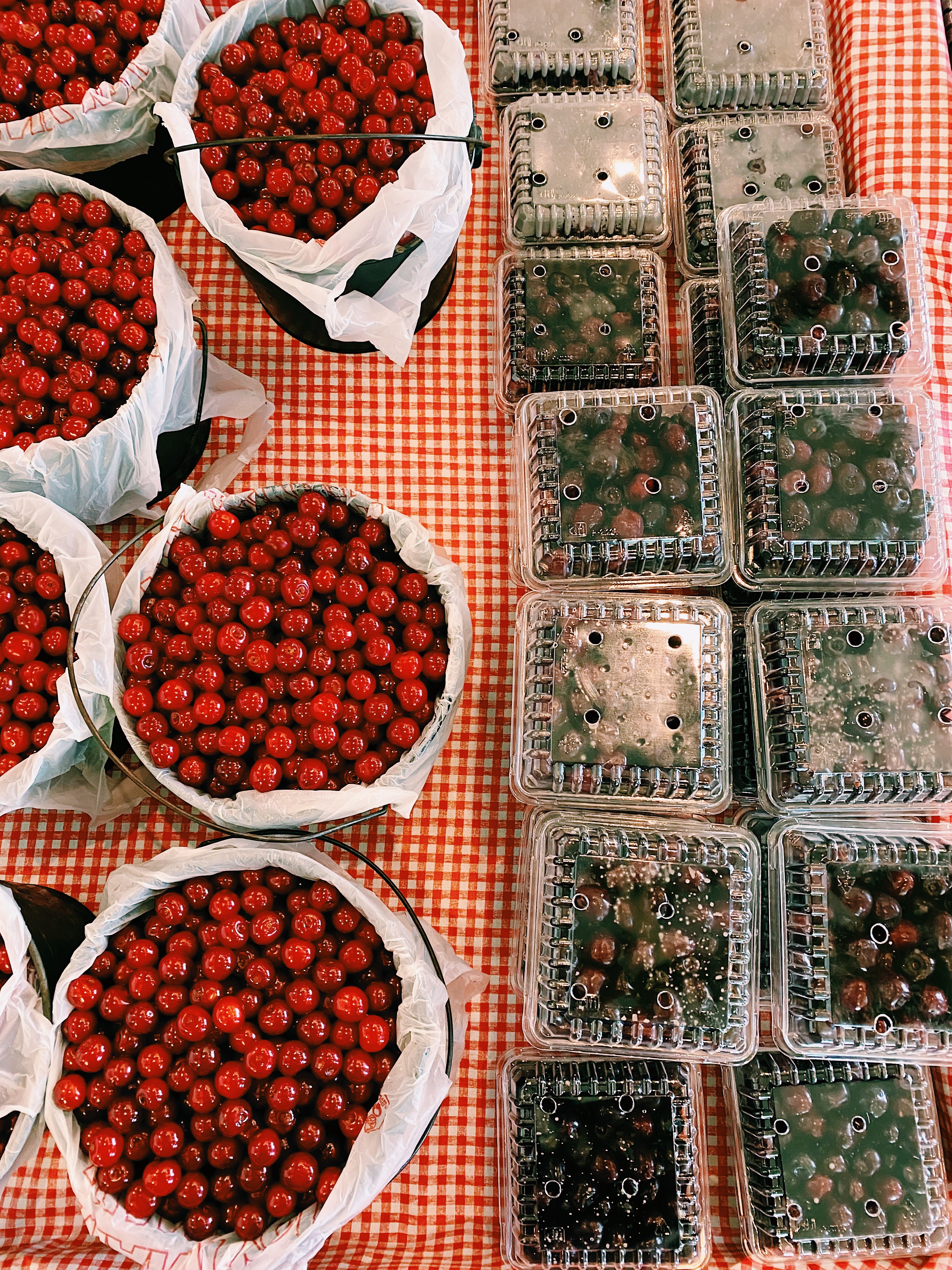 Processed with VSCO with c1 preset
