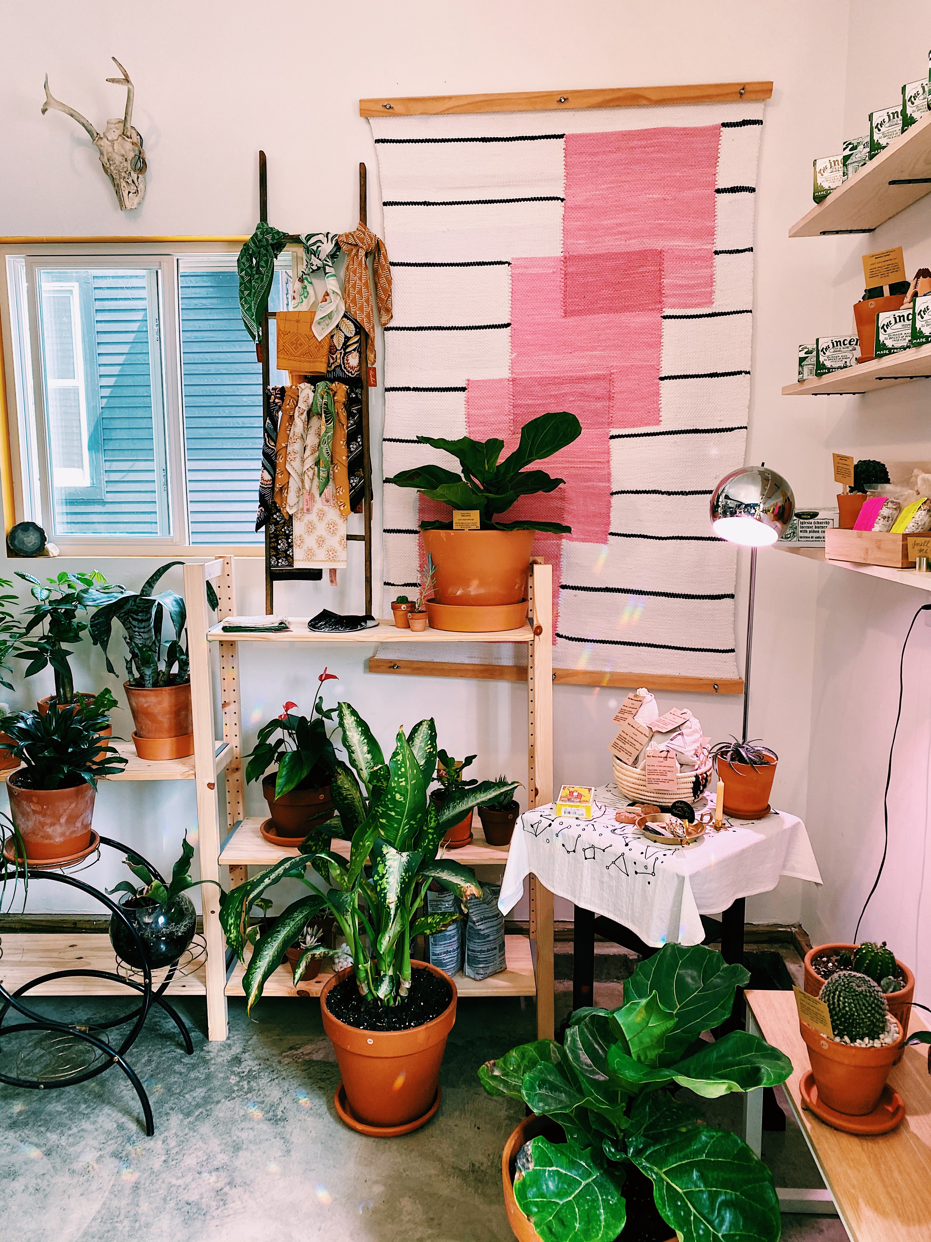 Processed with VSCO with c1 preset