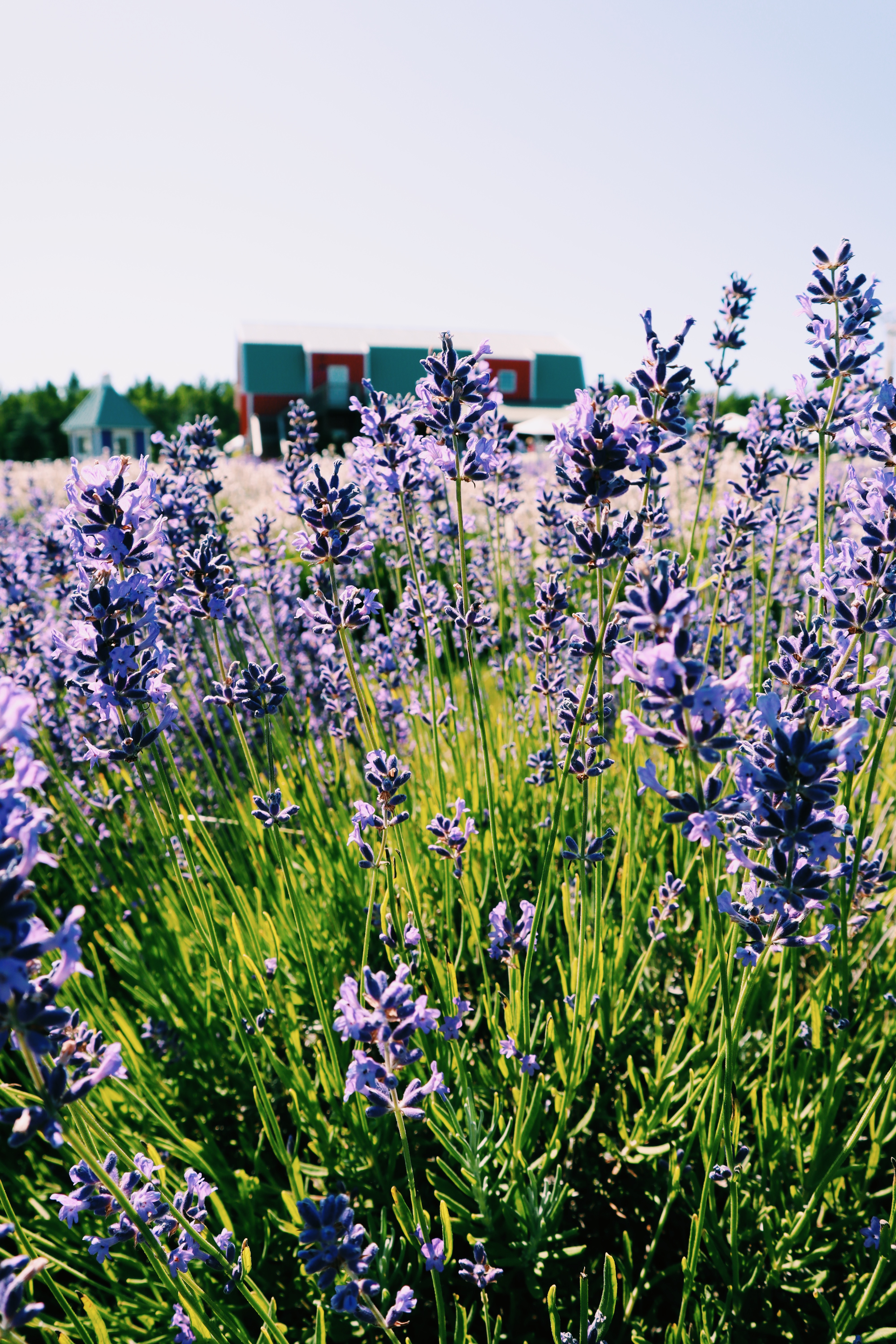 Processed with VSCO with c1 preset