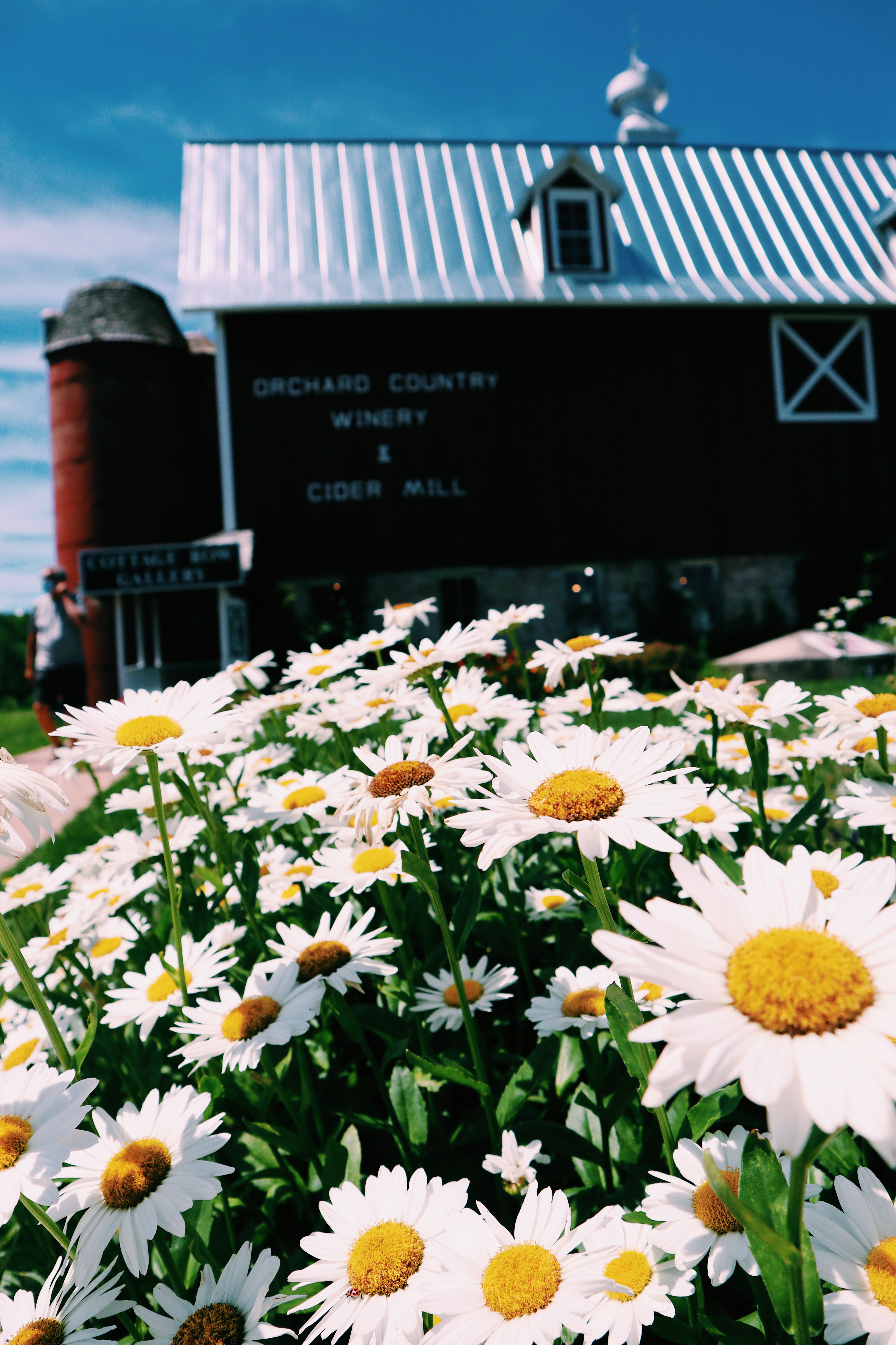 Processed with VSCO with c1 preset