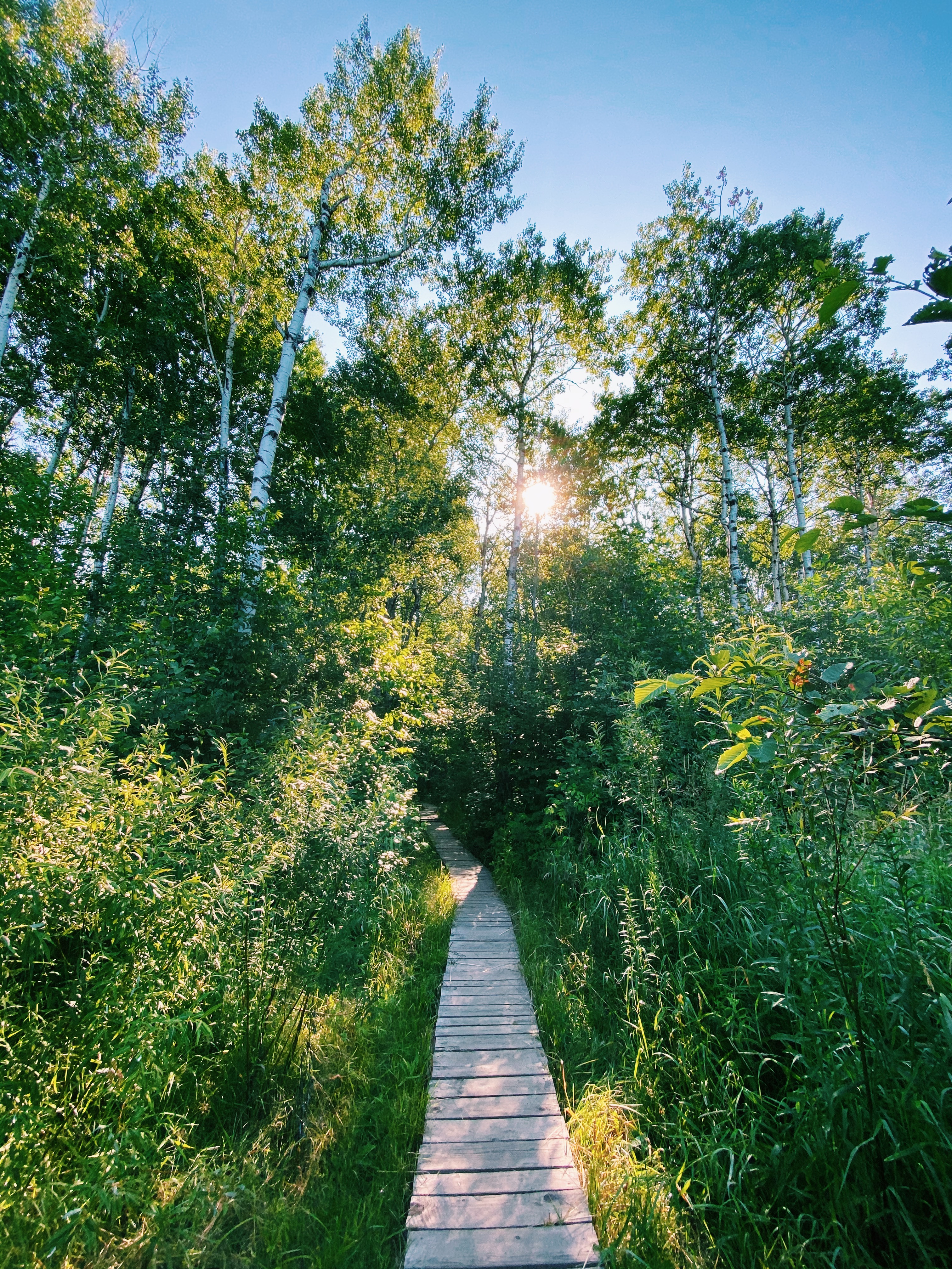 Processed with VSCO with c1 preset